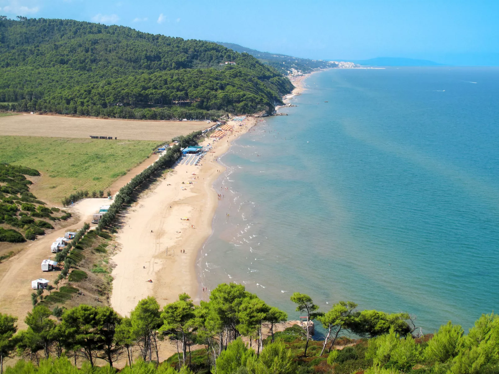 Internazionale Manacore-Area
