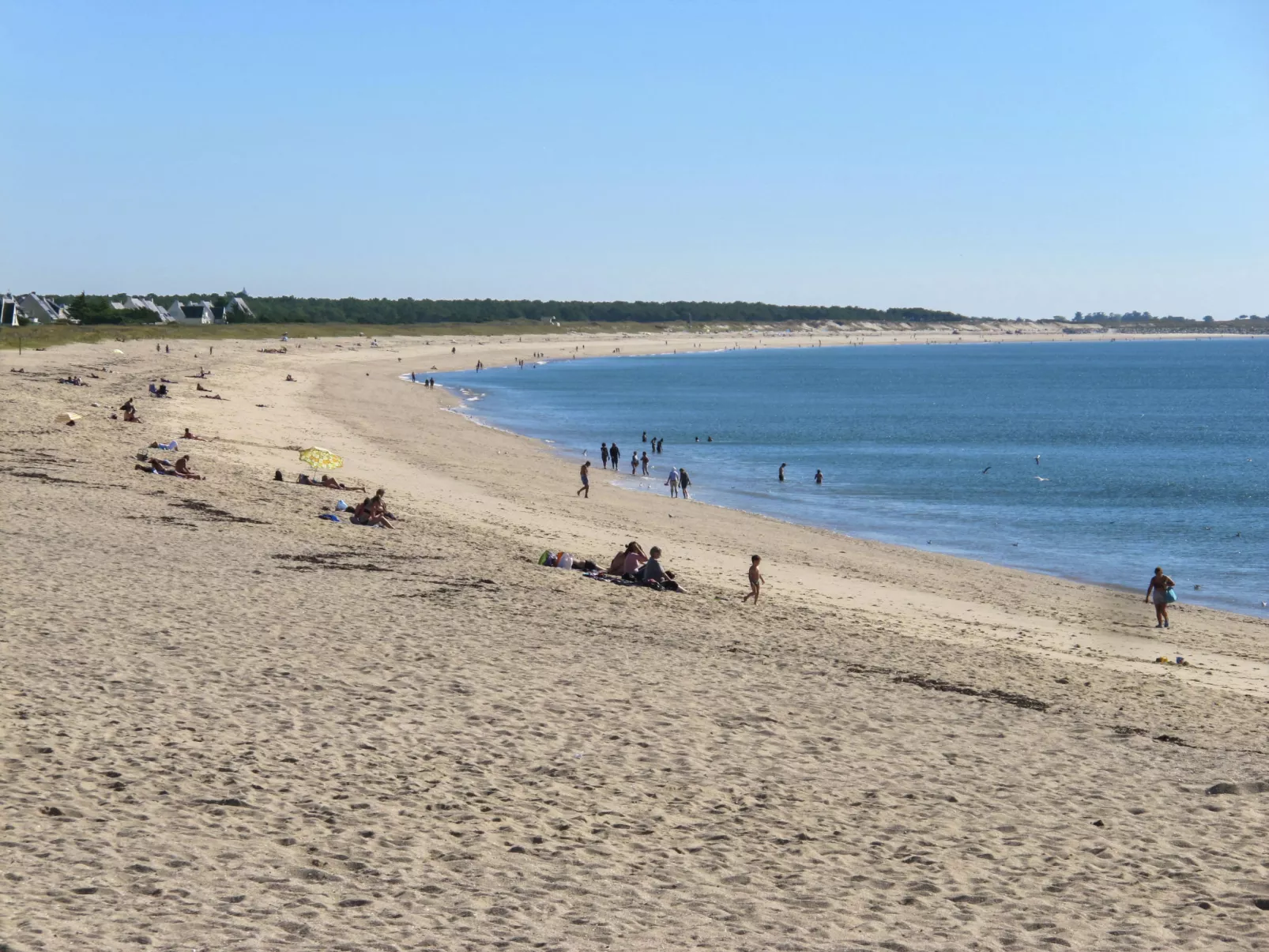 Les Chênes Verts-Area