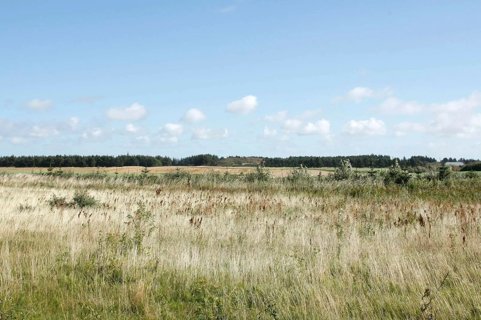 Luxury Retreat Nr. Lyngby - By Traum Ferienwohnungen-View