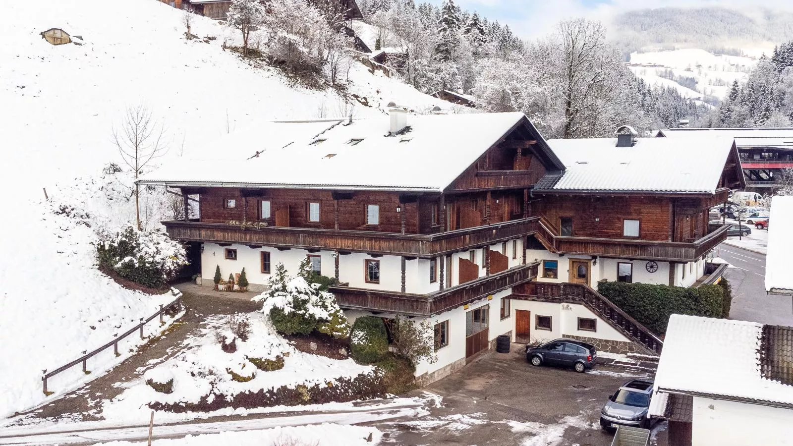 Zellner Top 1-Exterior winter