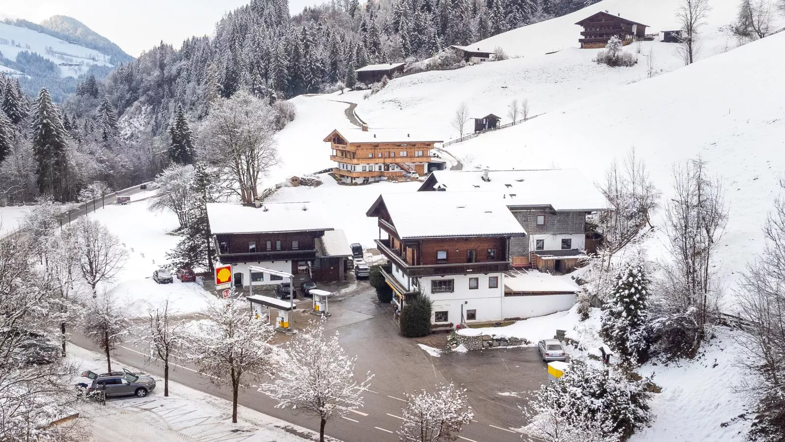 Zellner Top 1-Exterior winter