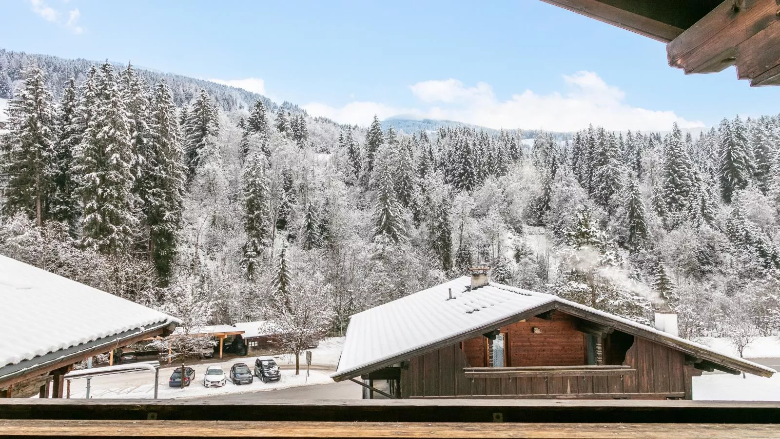 Zellner Top 3-View winter