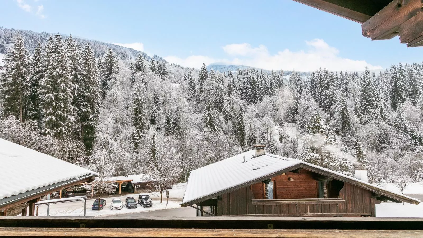 Zellner Top 6-View winter