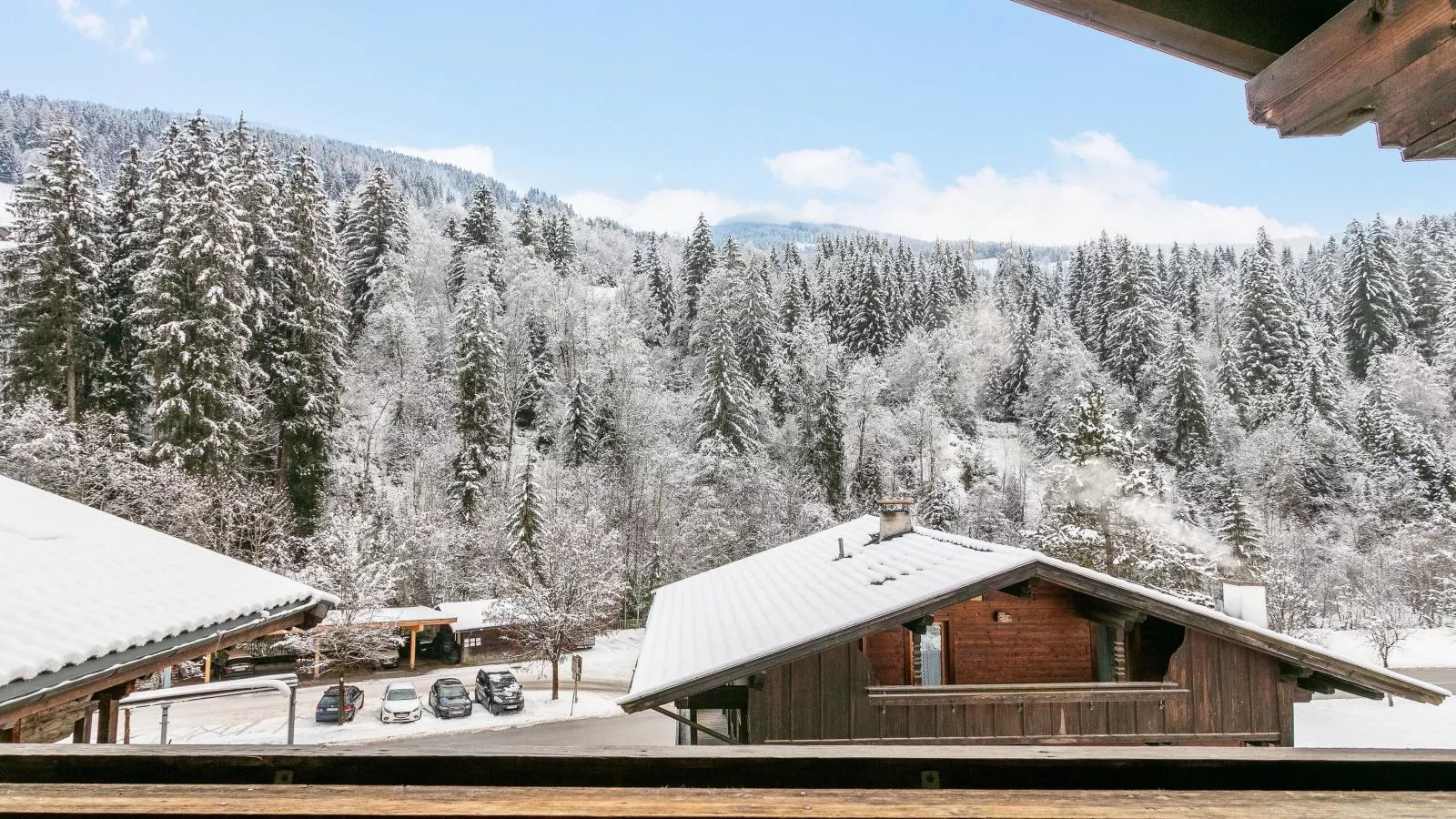 Zellner Top 8-View winter
