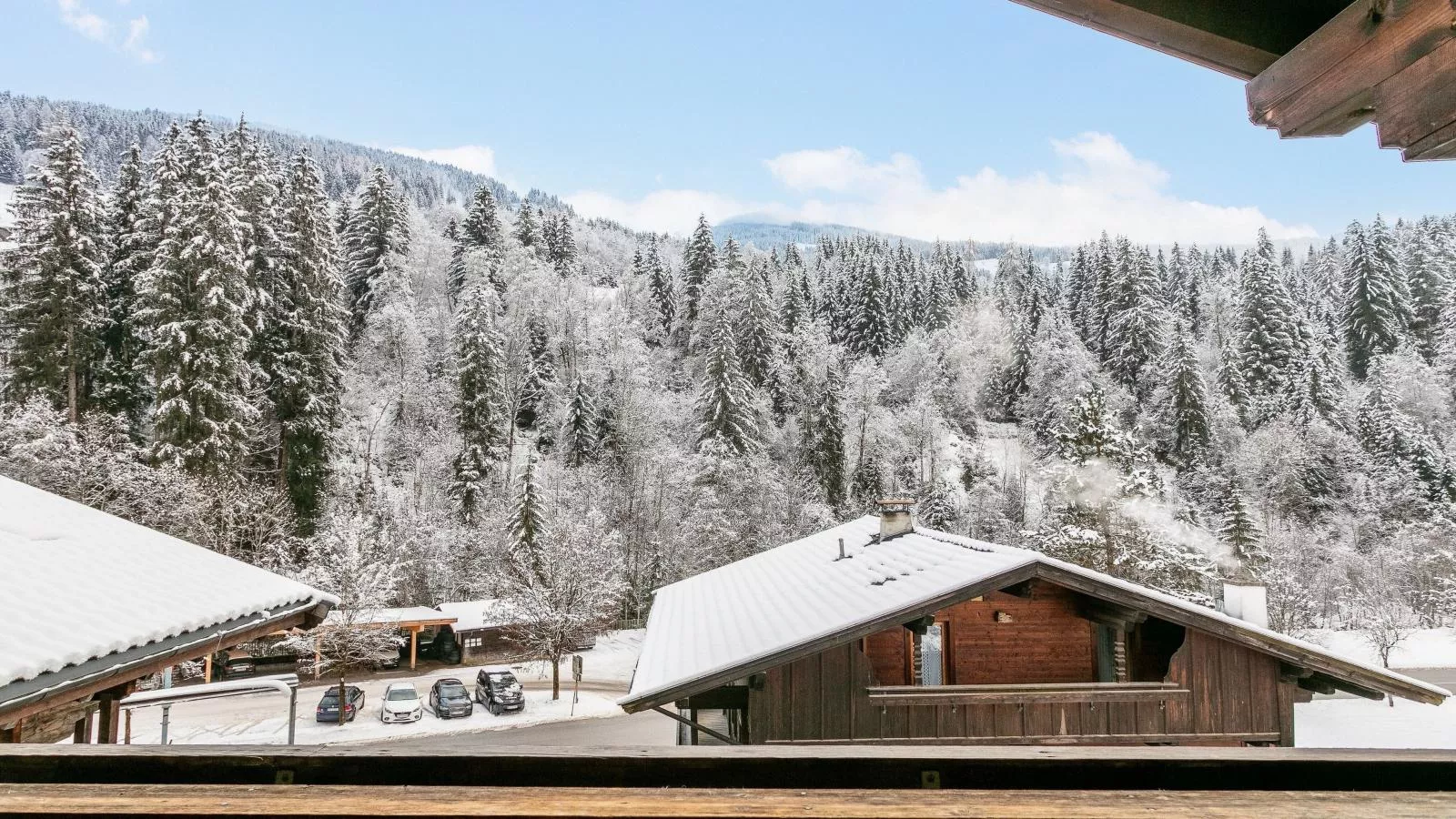 Zellner Top 1 und 2 und 3-View winter