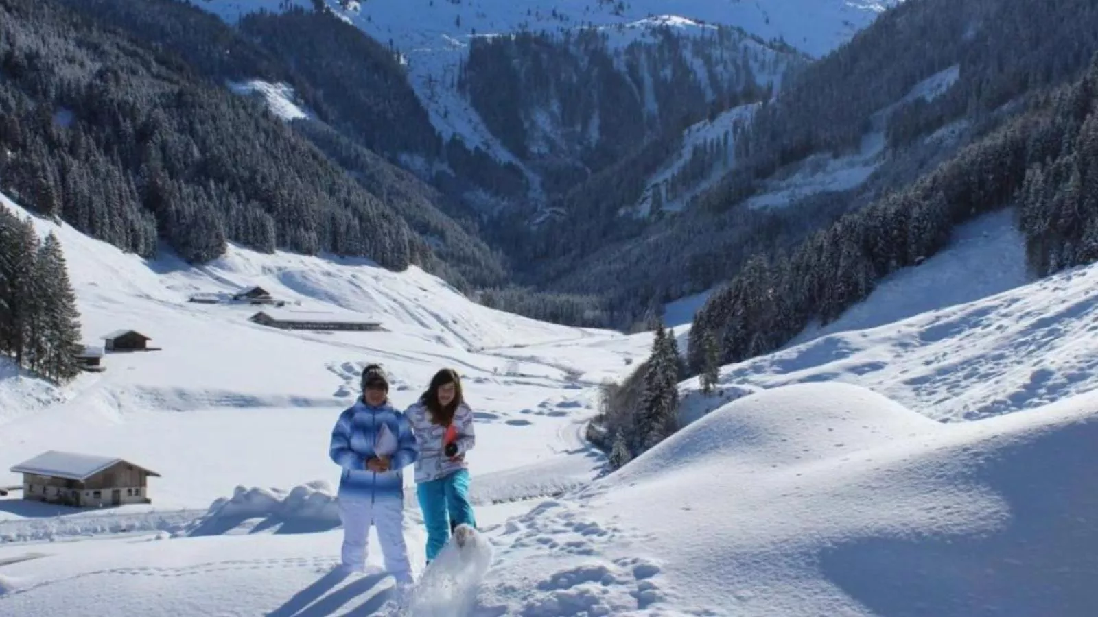 Heualm-Zone d'hiver à 1 km