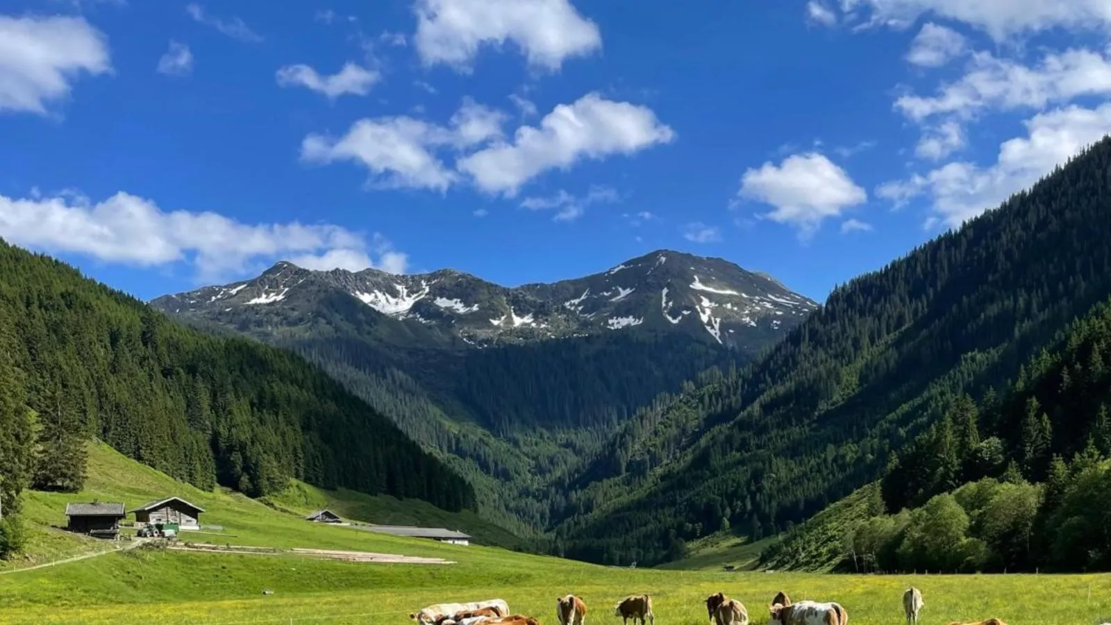 Heualm-Zones d'été à 1 km