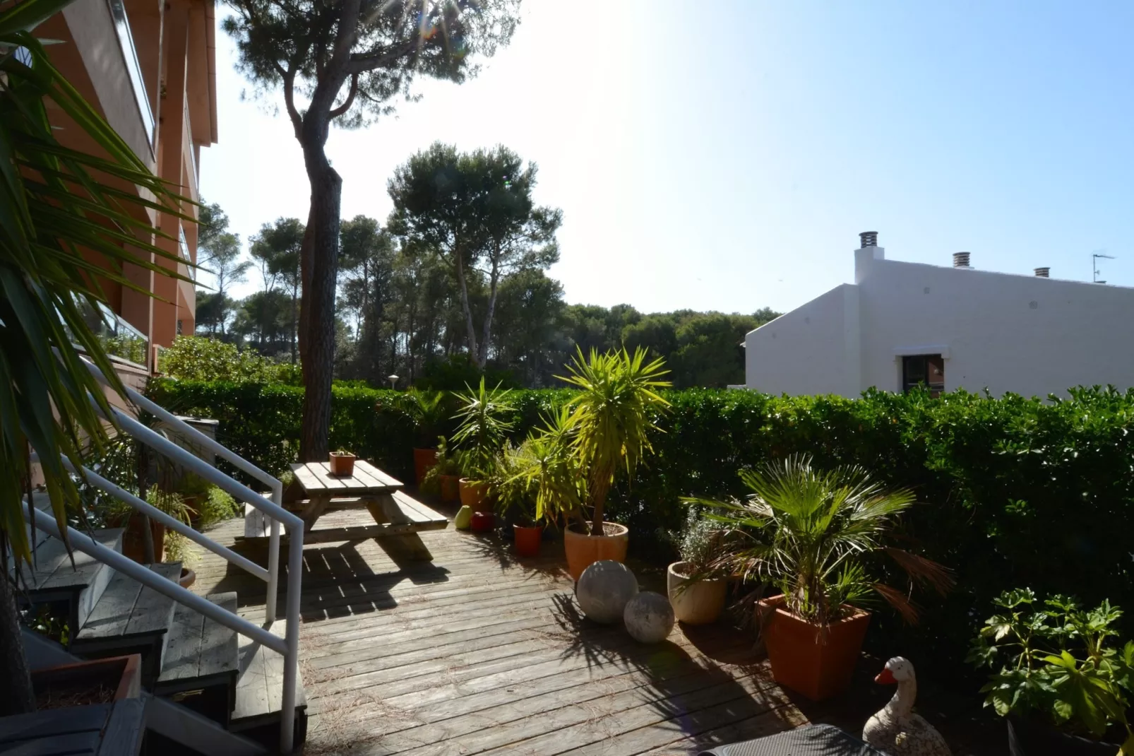 PUIG SA GUILLA I C B2-Areas summer 1km