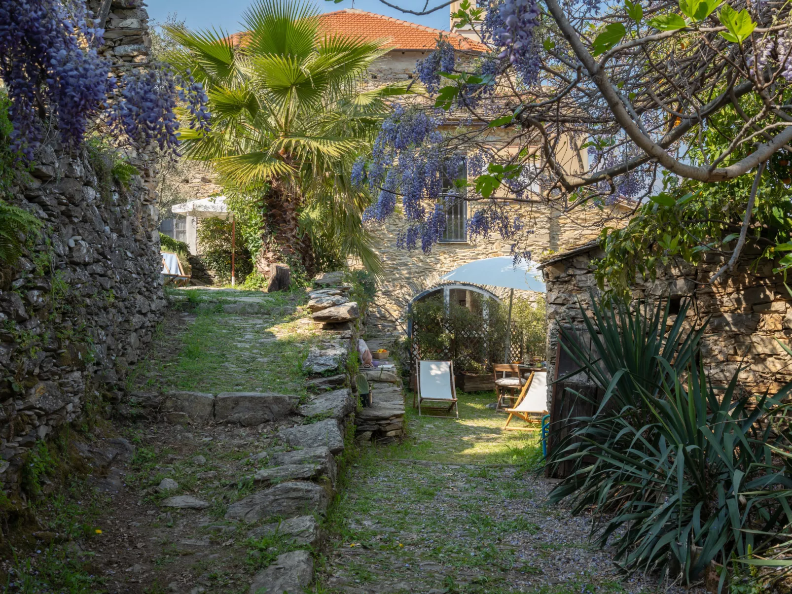 Maria Luisa (DOL286)-Outside