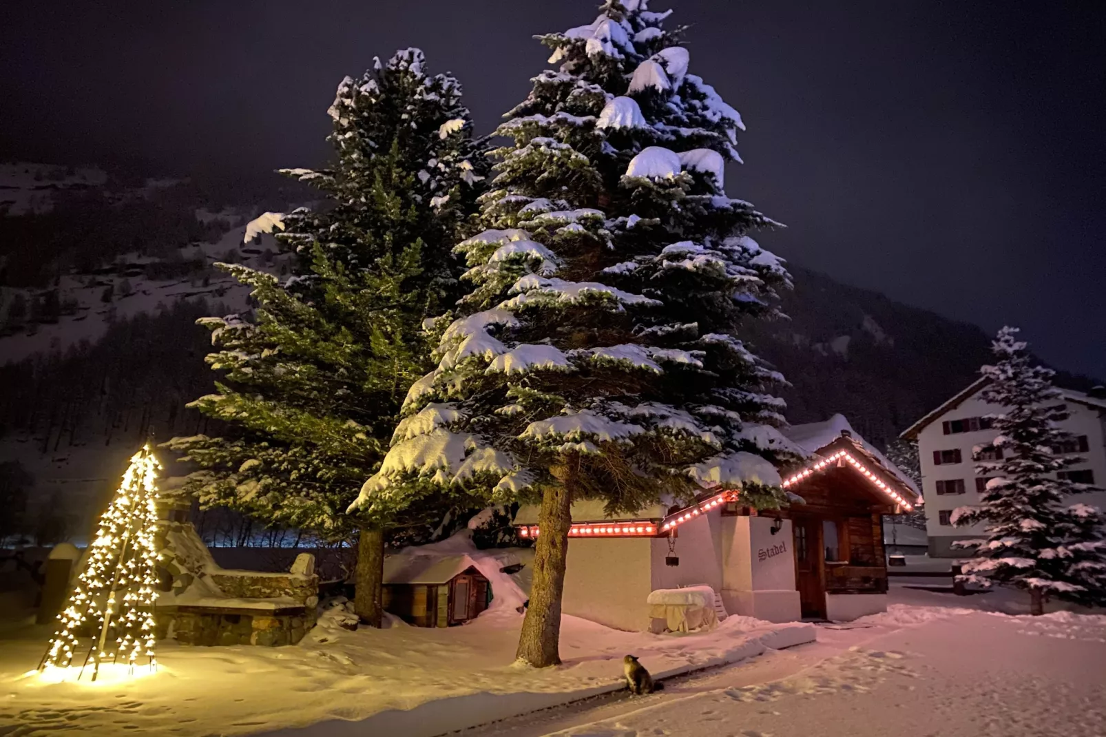 Stadel-Garden winter