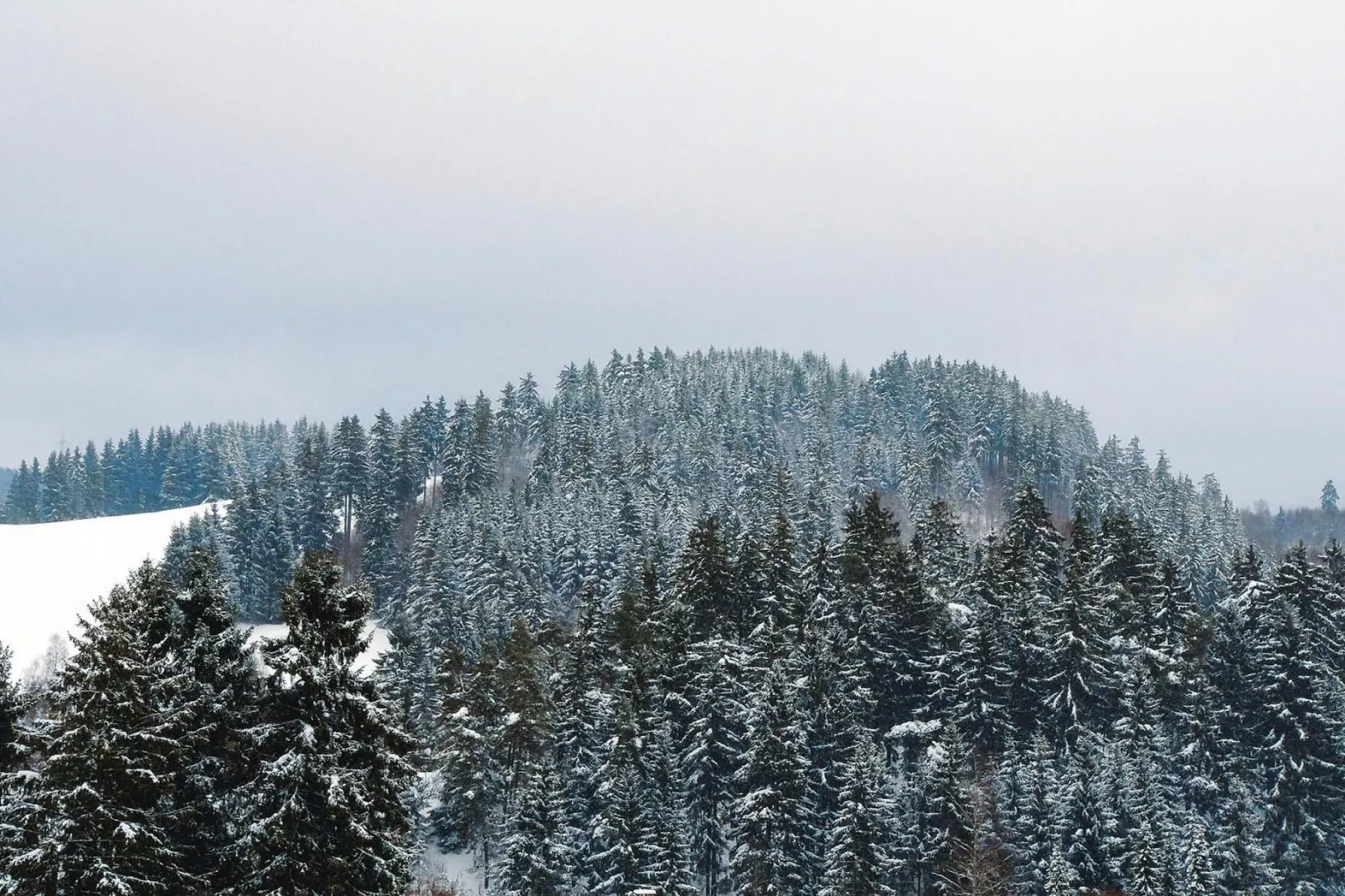 Hirschblick/Wohnung 6 2 Pers-Area winter 5km