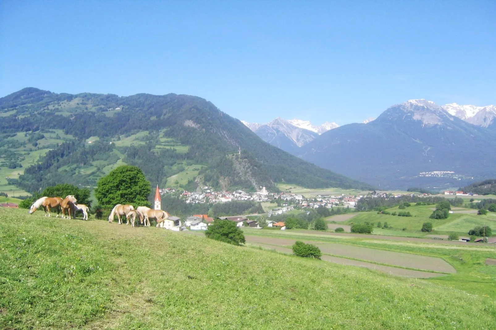 Lechner Anemone-Areas summer 1km