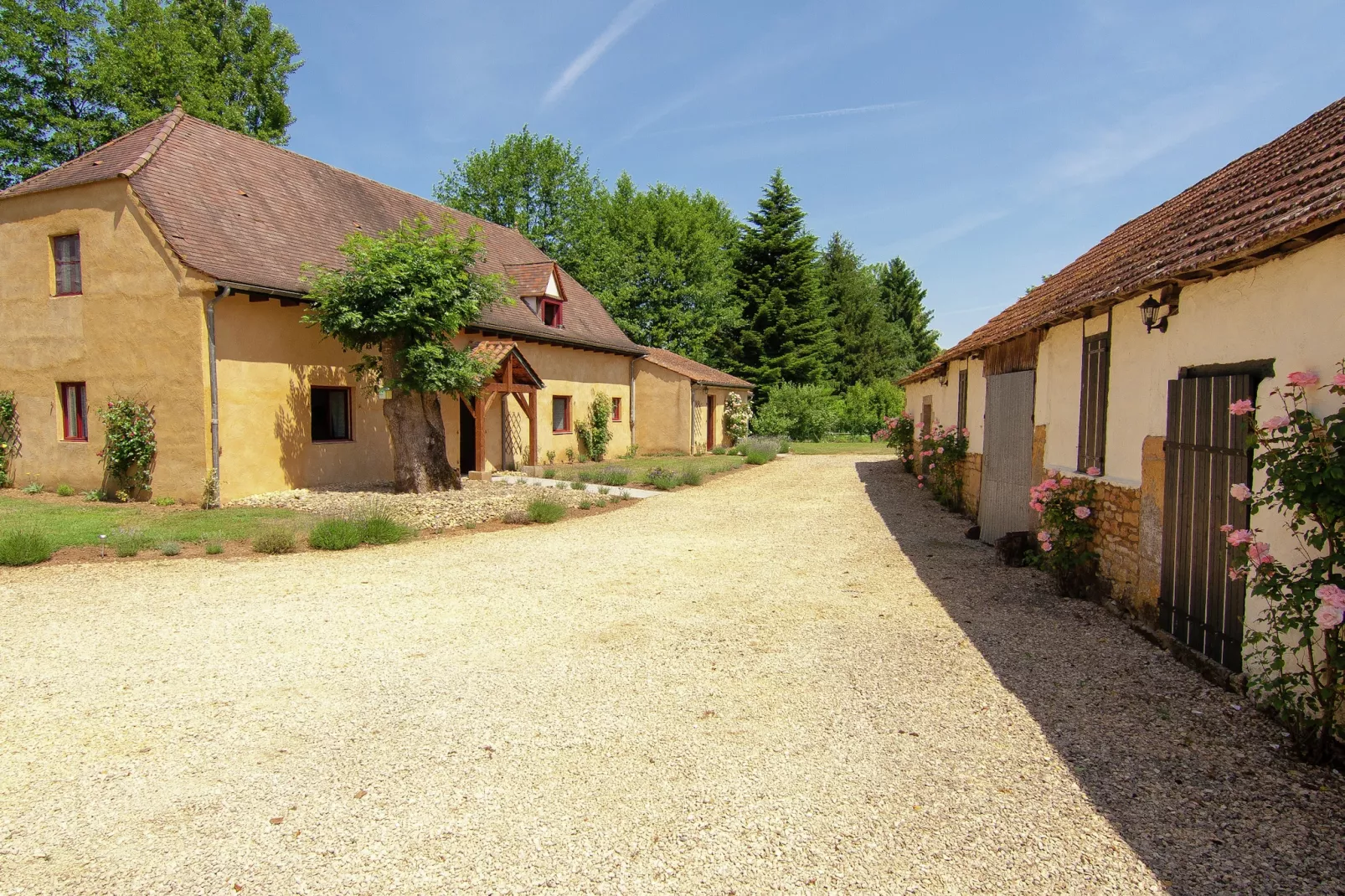 Demie-Exterior summer