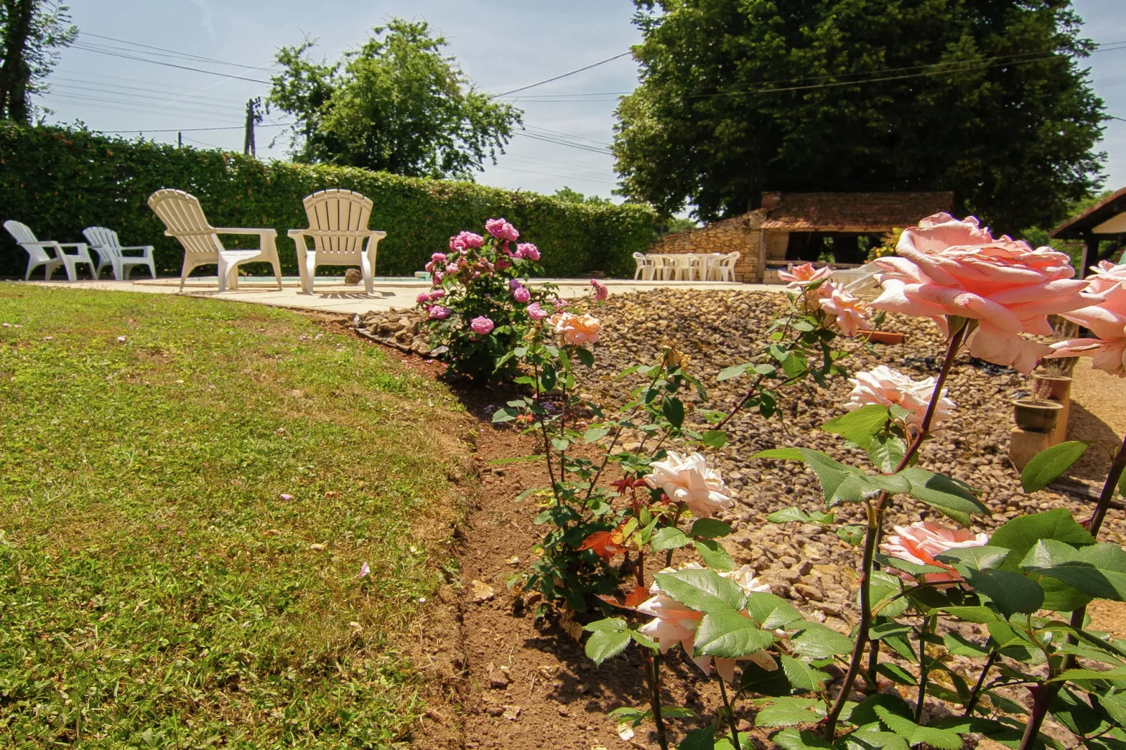 Demie-Gardens summer