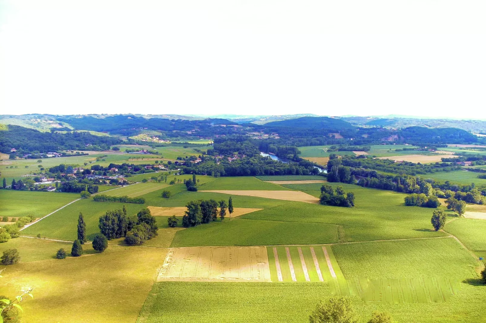 Demie-Areas summer 1km