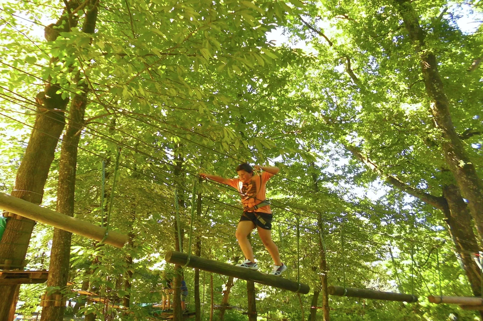 Demie-Areas summer 20km