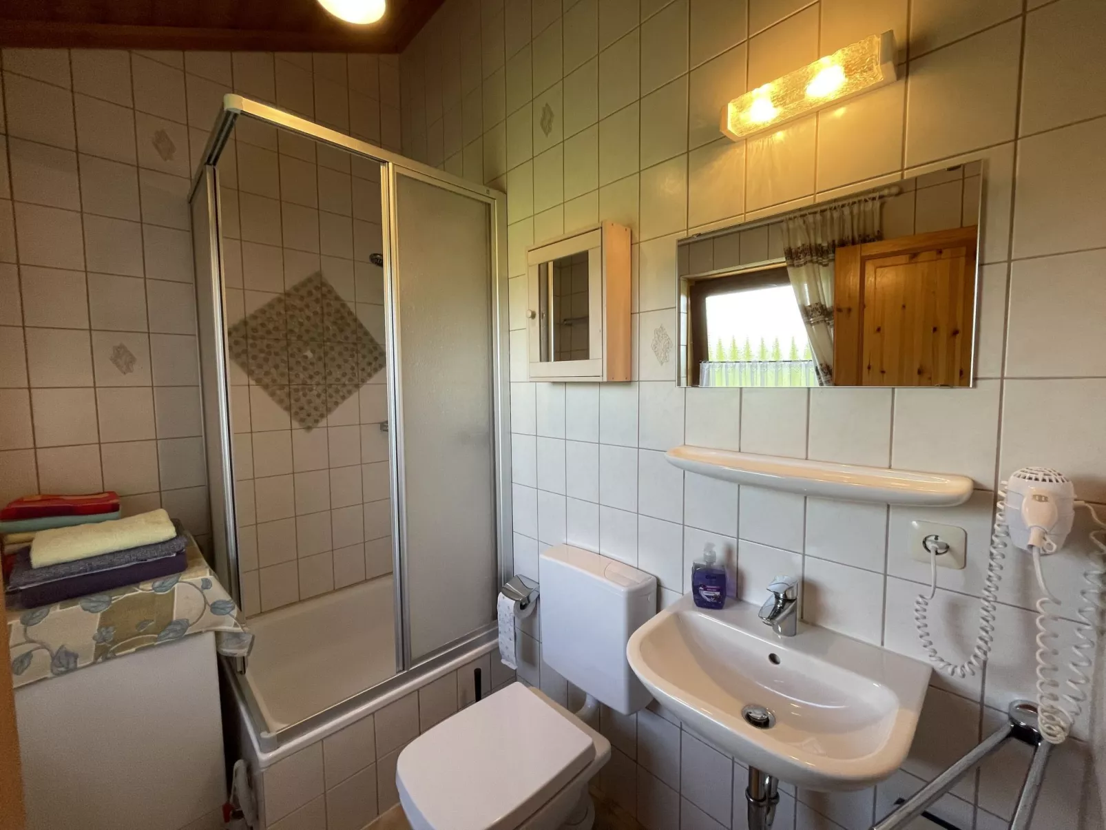 Löwenzahn-Inside