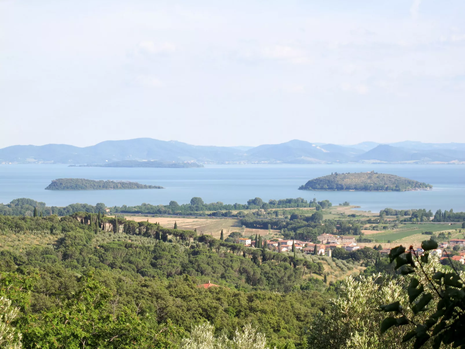 Paradiso Selvaggio-Area