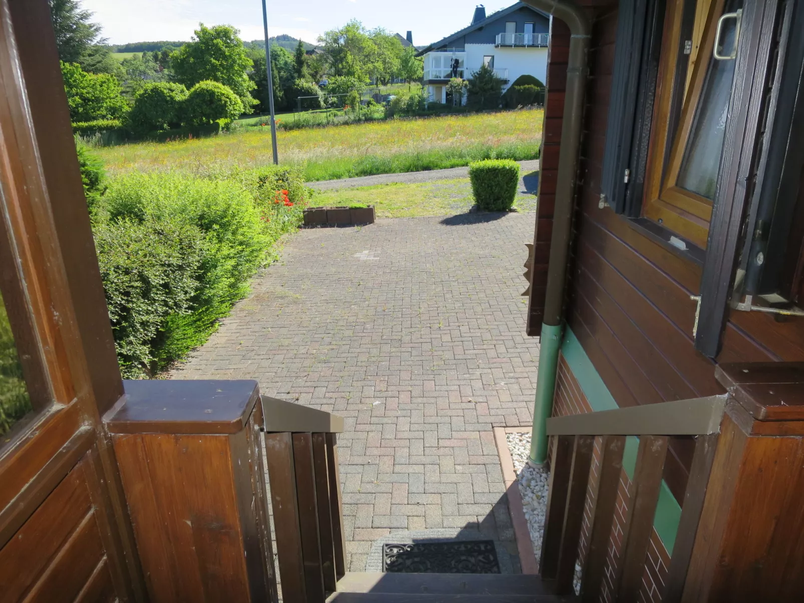 Löwenzahn-Outside