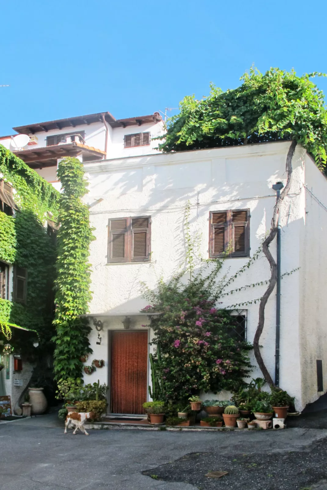 Casa Massabovi (IMP244)-Outside