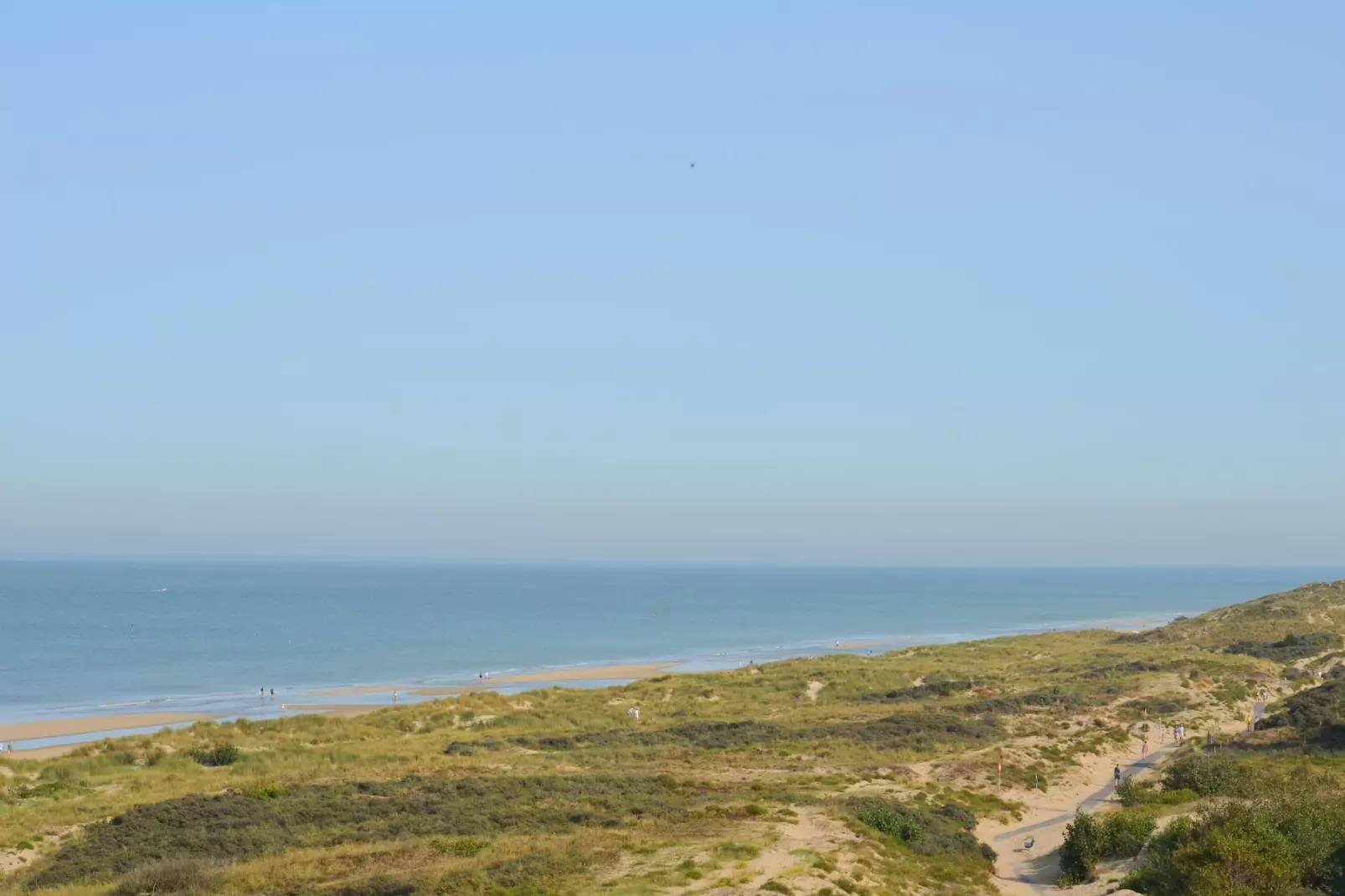 PLAZA A1/A1B01-Areas summer 20km
