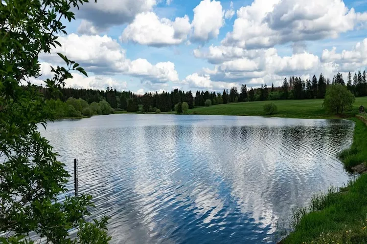 Tiny House-Areas summer 1km