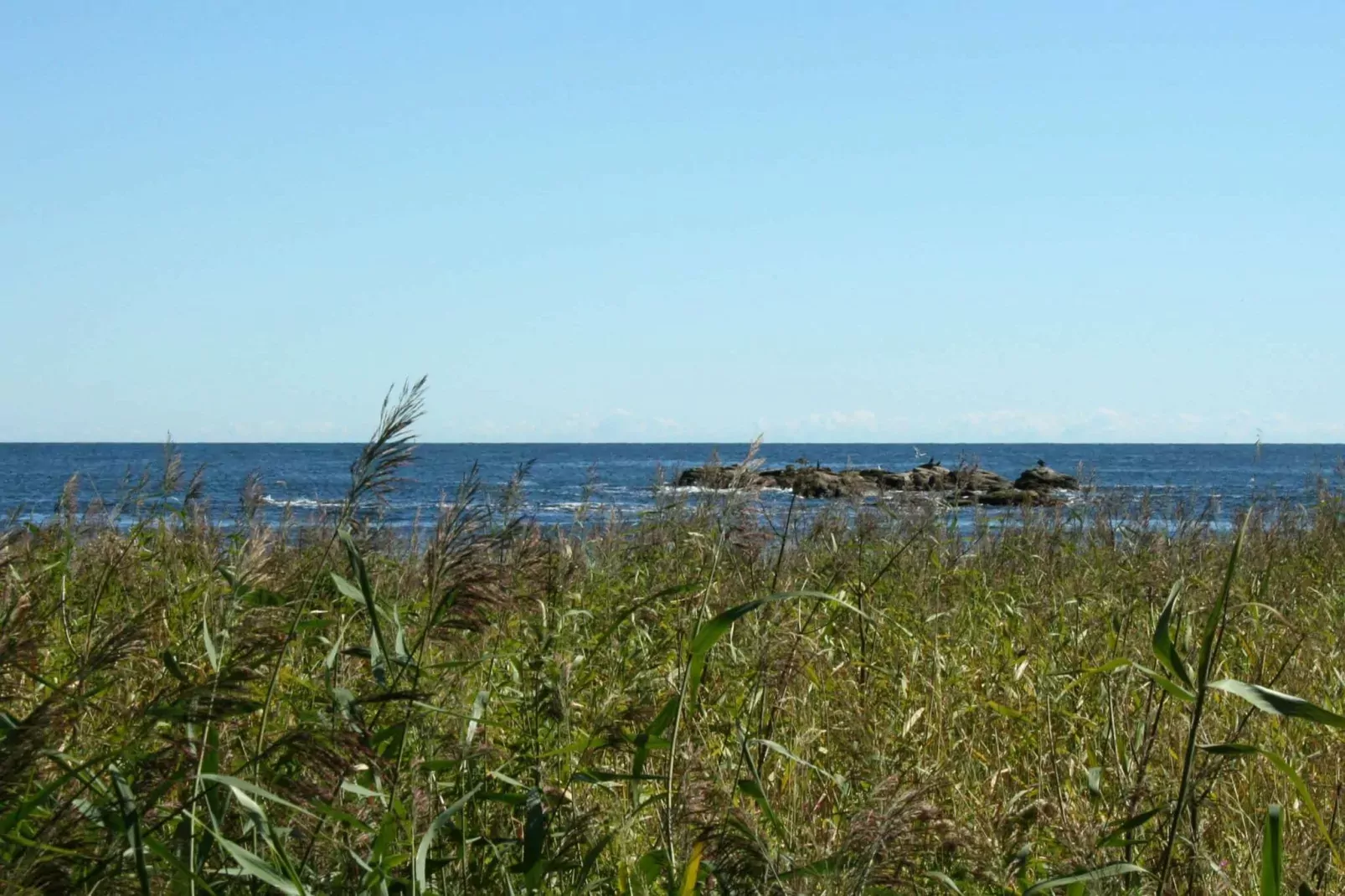 4 person holiday home in Svaneke-Water view