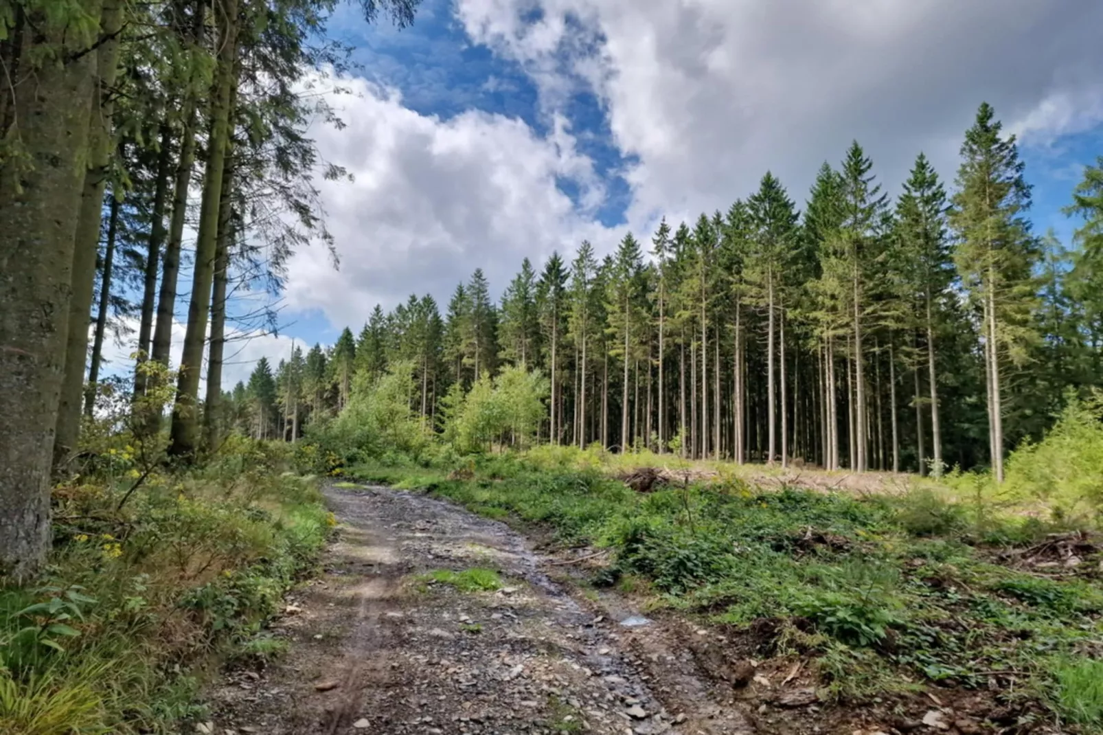 Gîte "Infirmerie"-Areas summer 5km