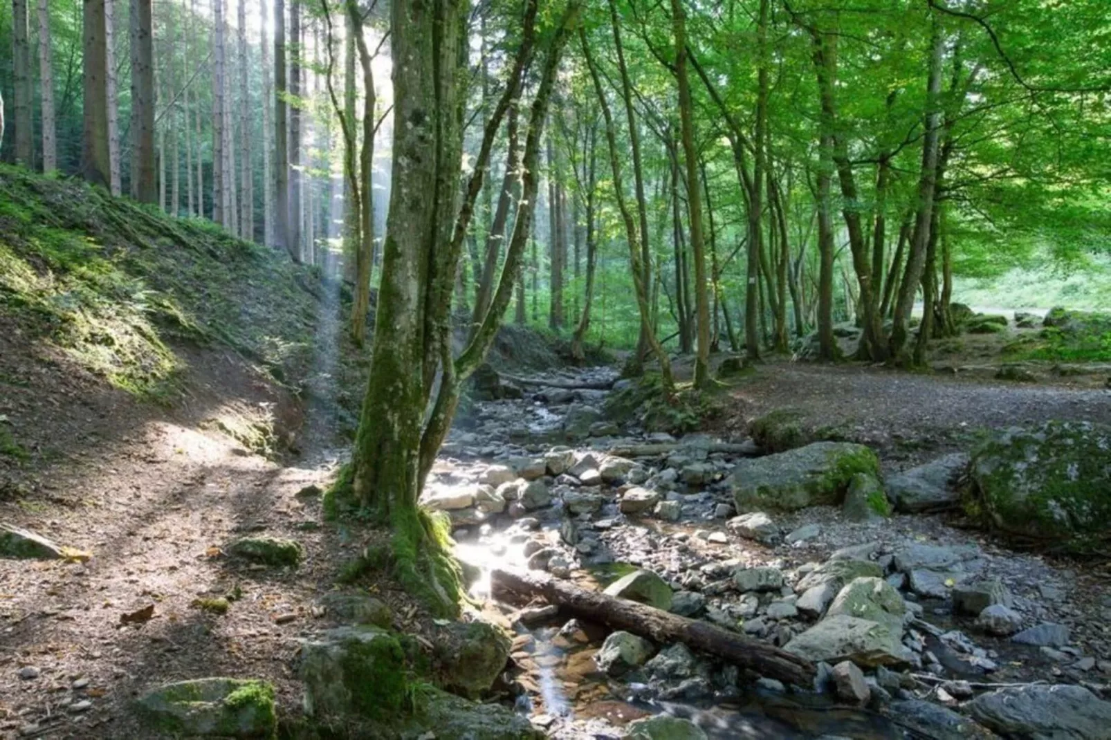 Gîte "Infirmerie"-Areas summer 5km