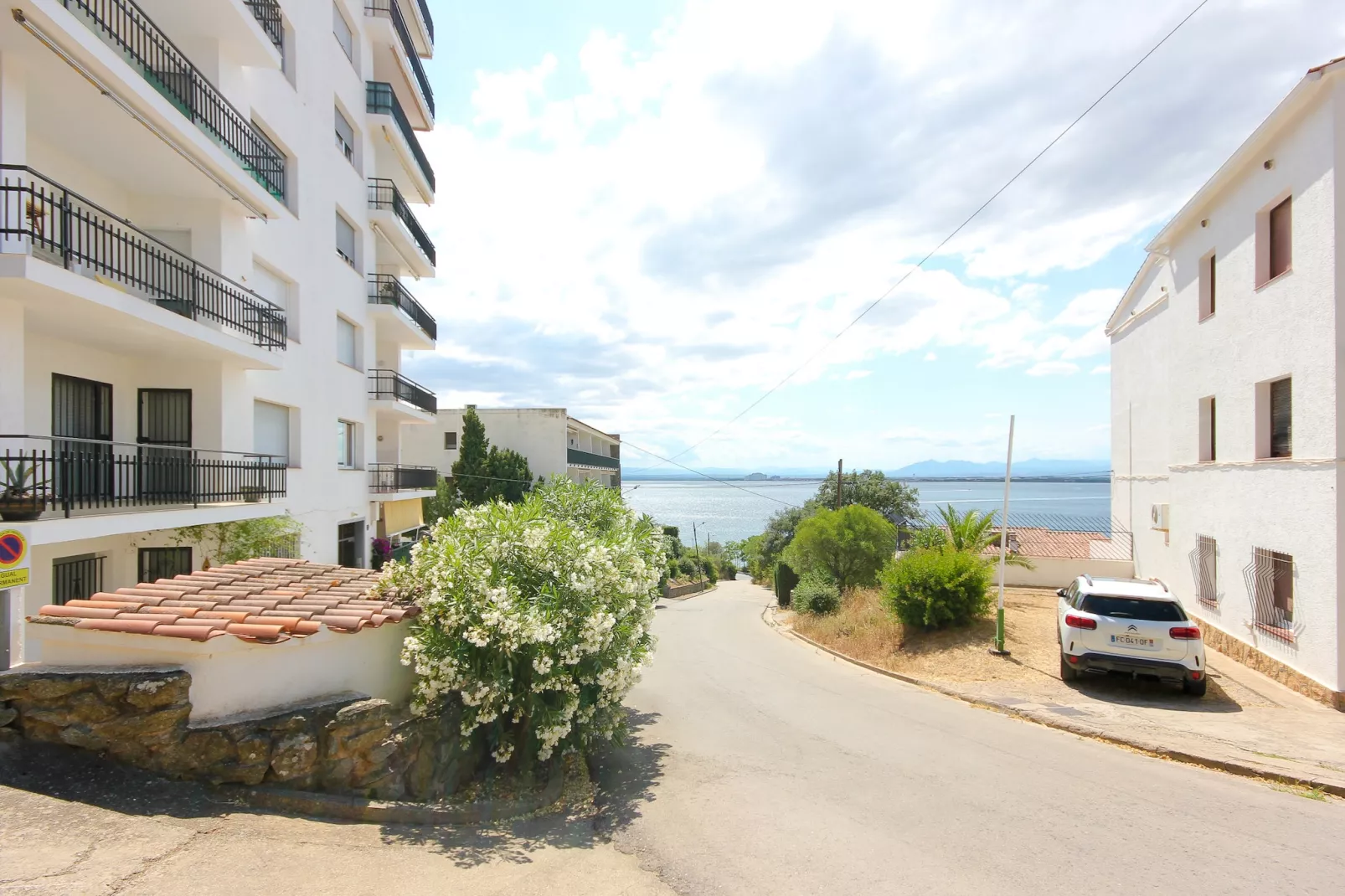 ALBA 1 3 Roses-Exterior summer