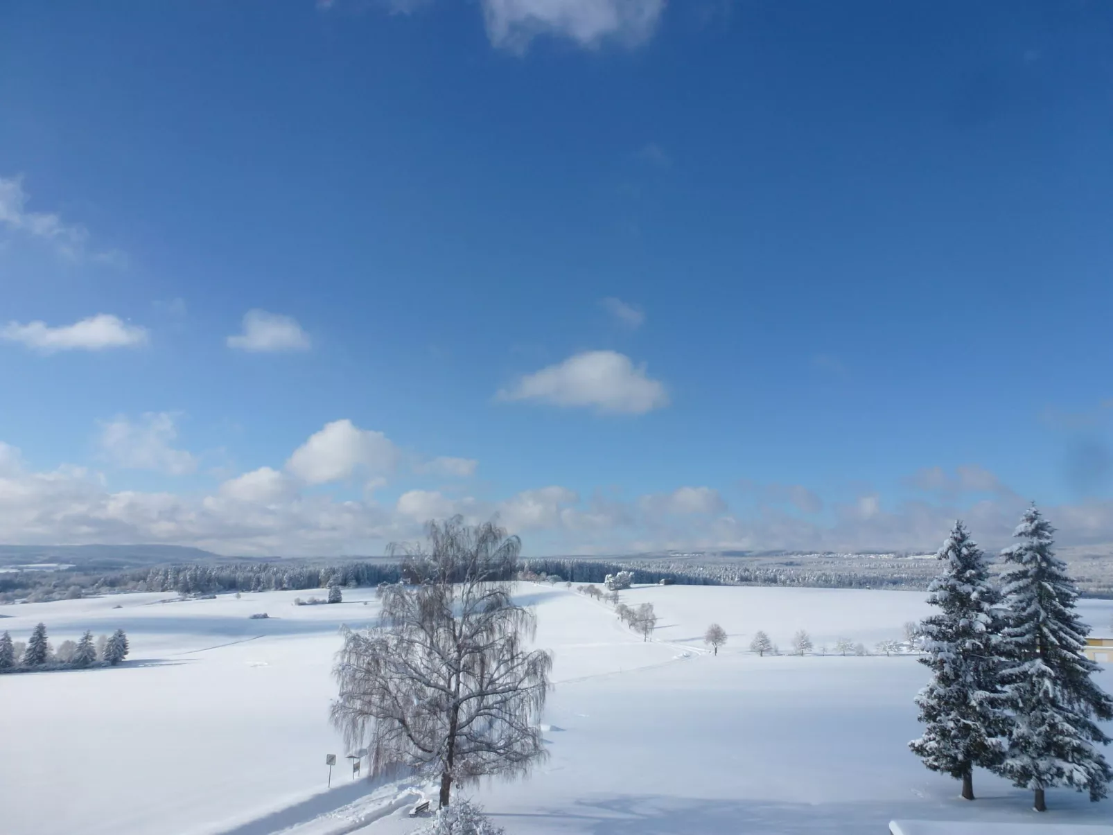 Wald und Wiese (B 94)-Area