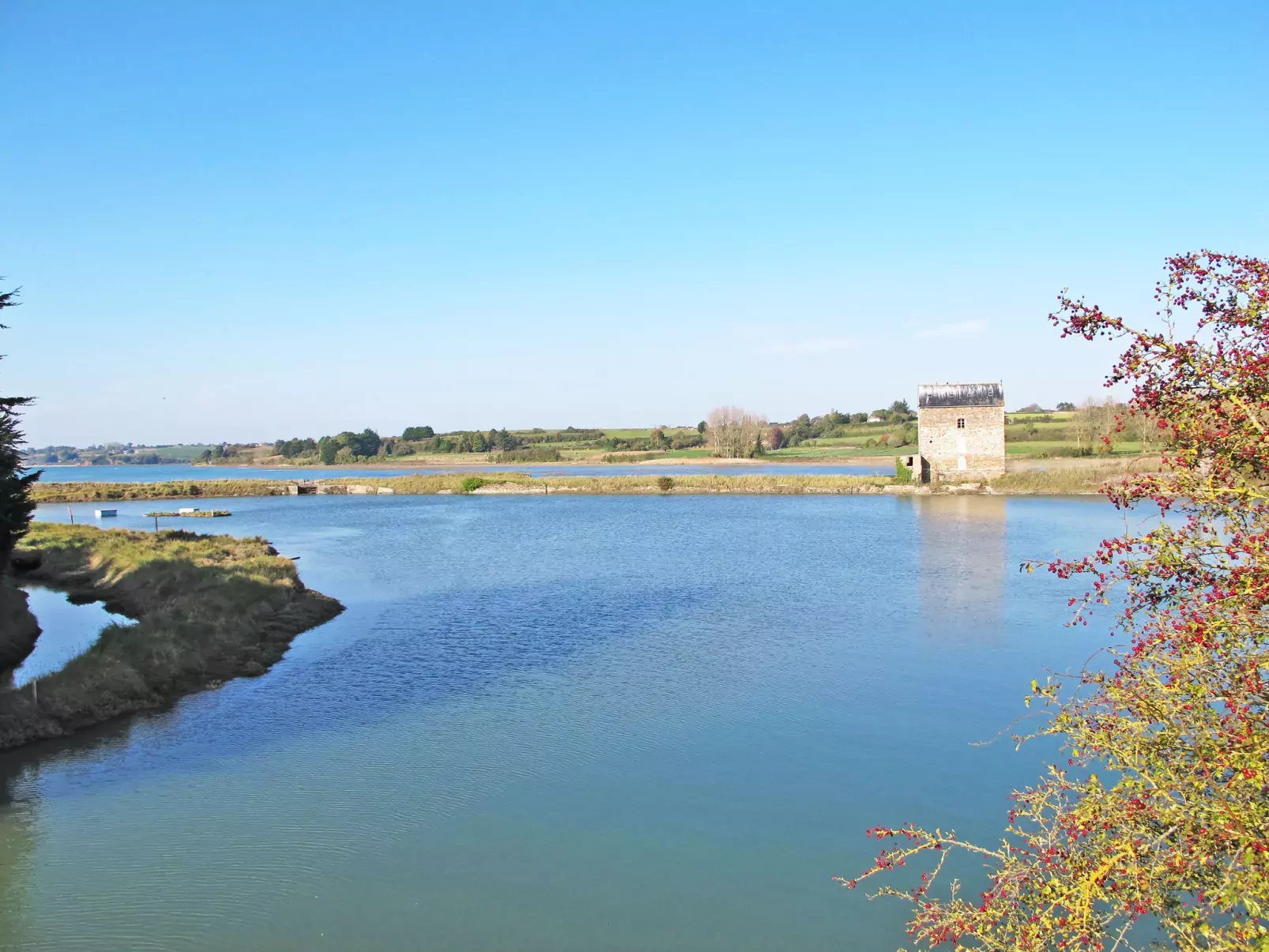 Bella Vista-Area
