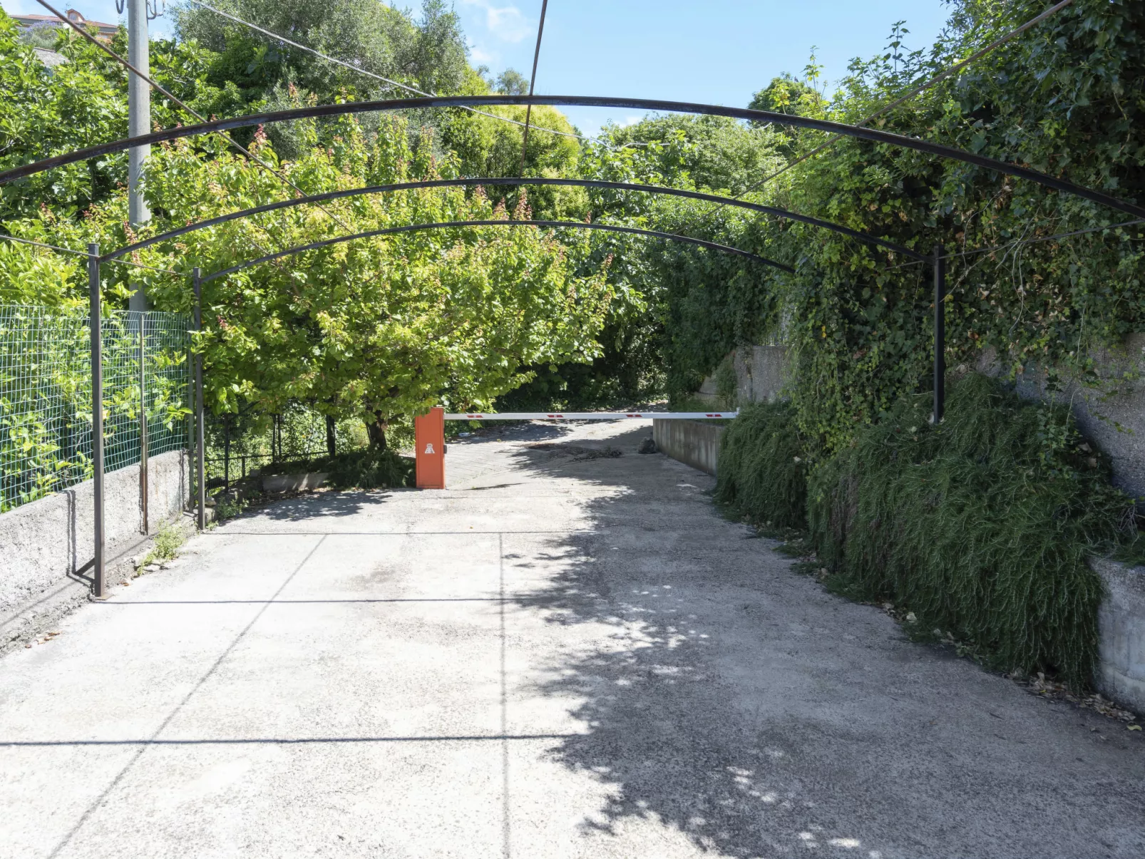 Degli Aranci (IMP385)-Outside