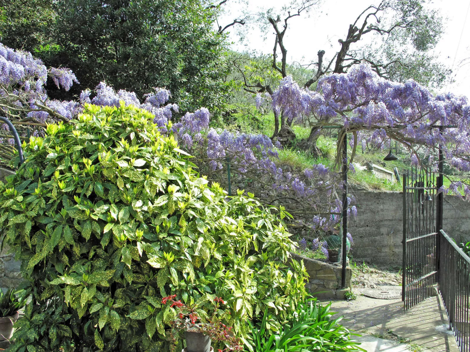 Casa dei Nonni (IMP425)-Outside