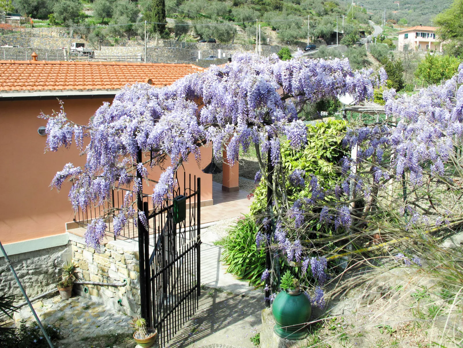 Casa dei Nonni (IMP425)-Outside