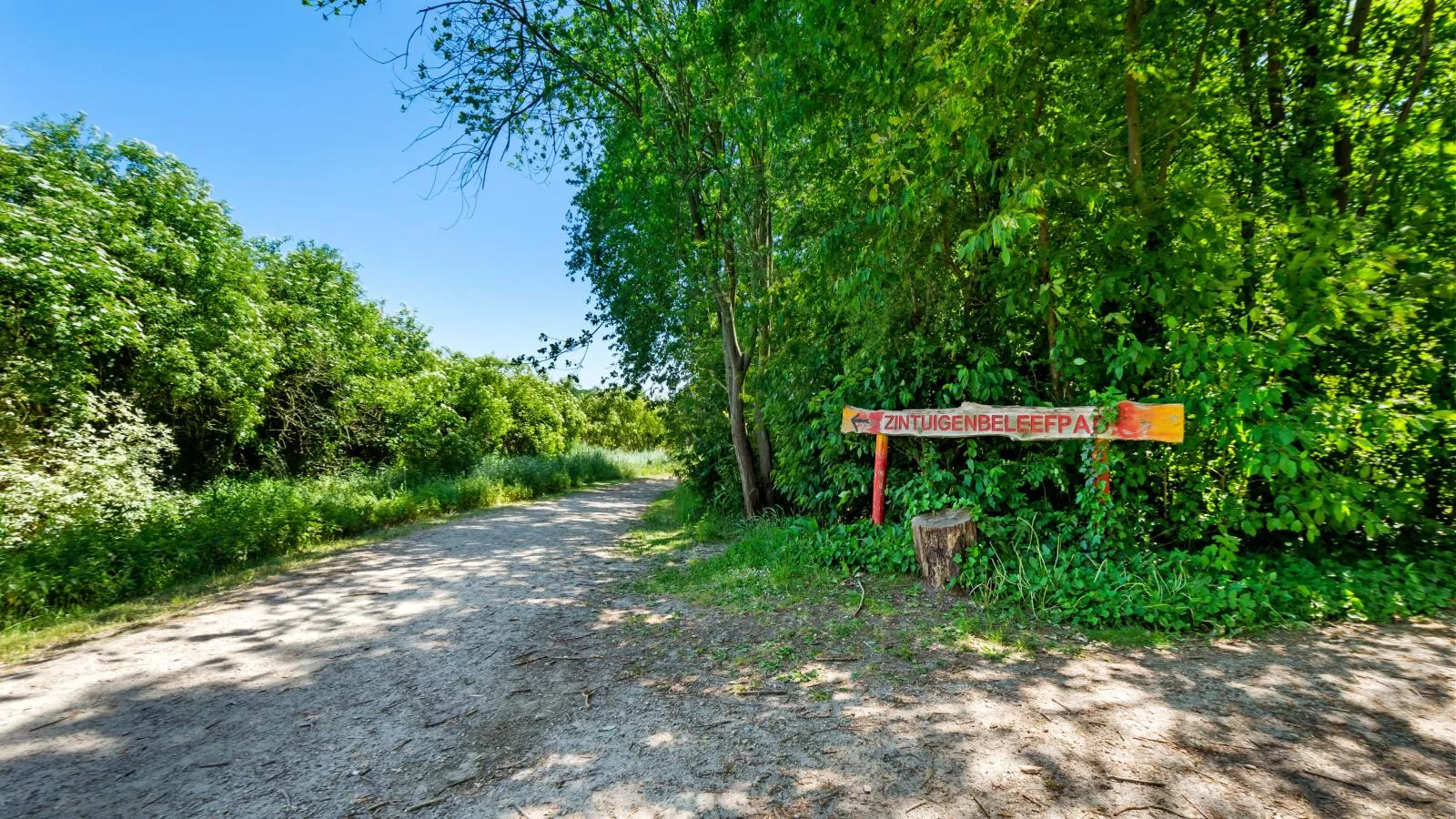 Quanto A-Areas summer 1km