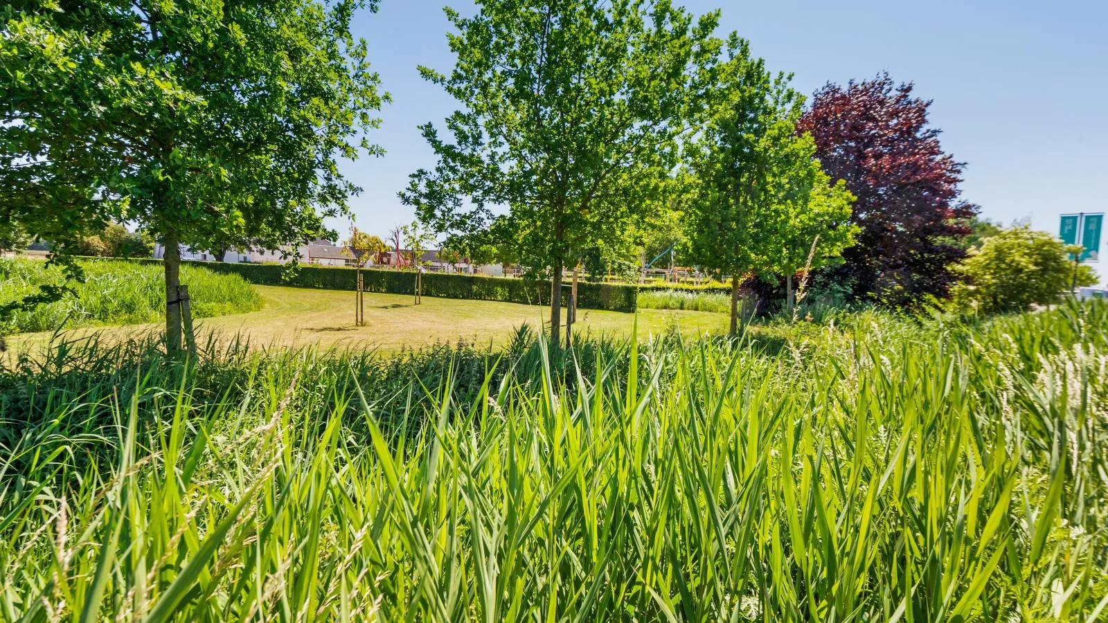 Quanto A  B-Gebiete Sommer 1 km