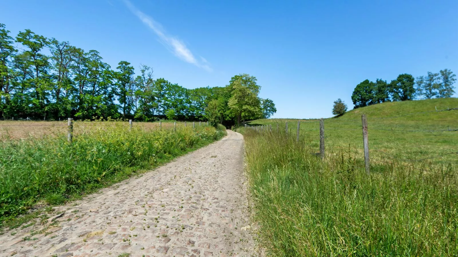 Quanto A  B-Gebiete Sommer 1 km