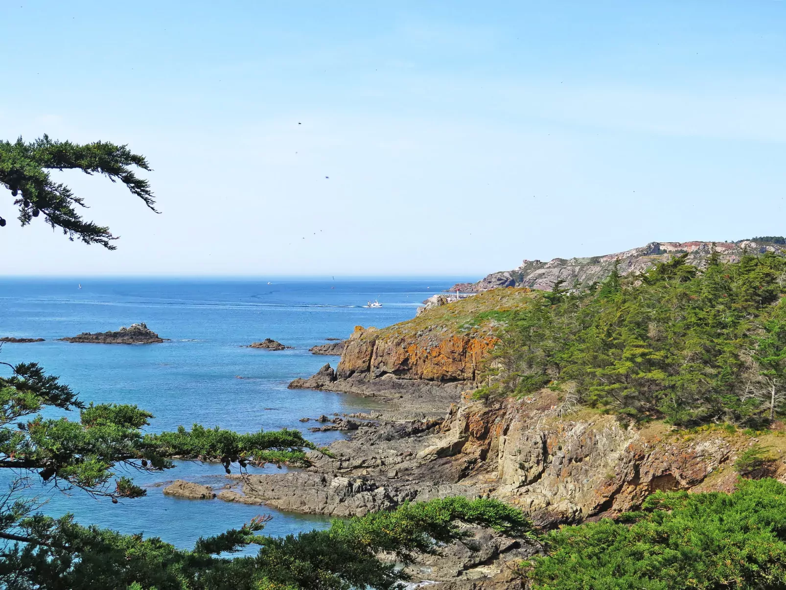 Etoile de Mer-Area