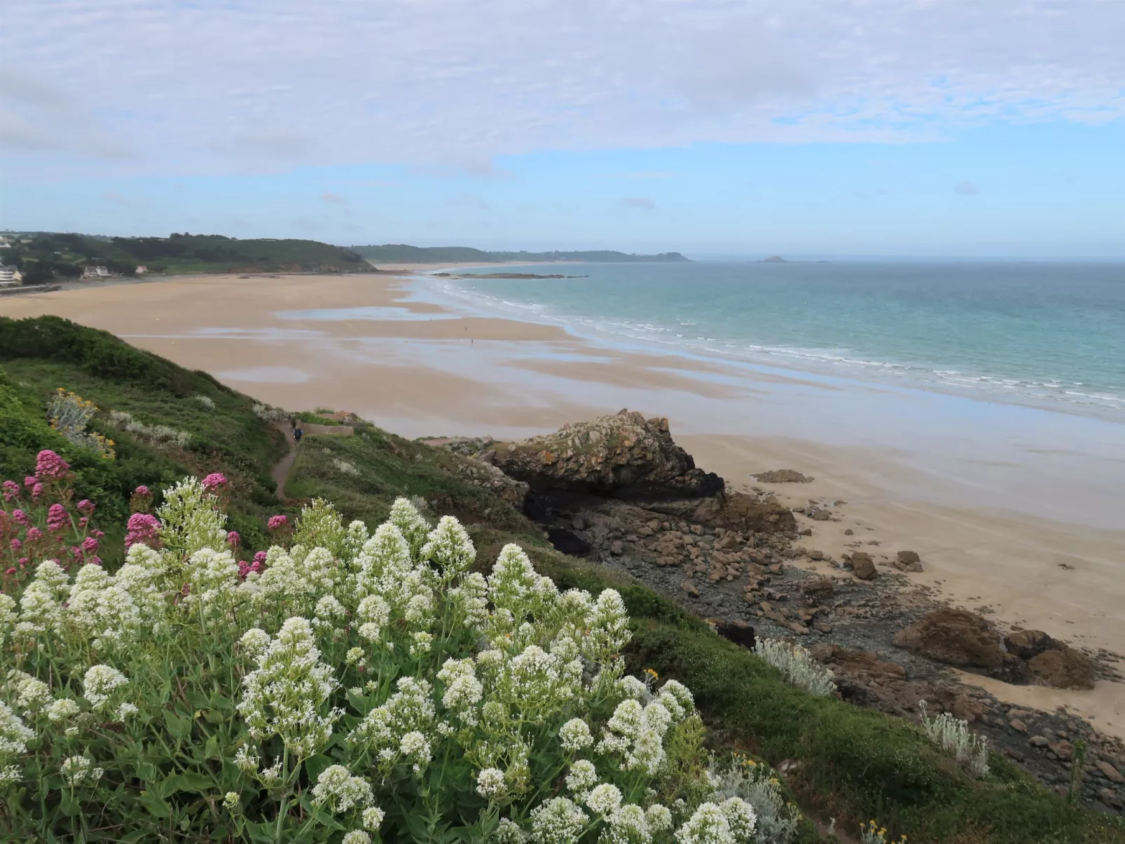 Etoile de Mer-Area