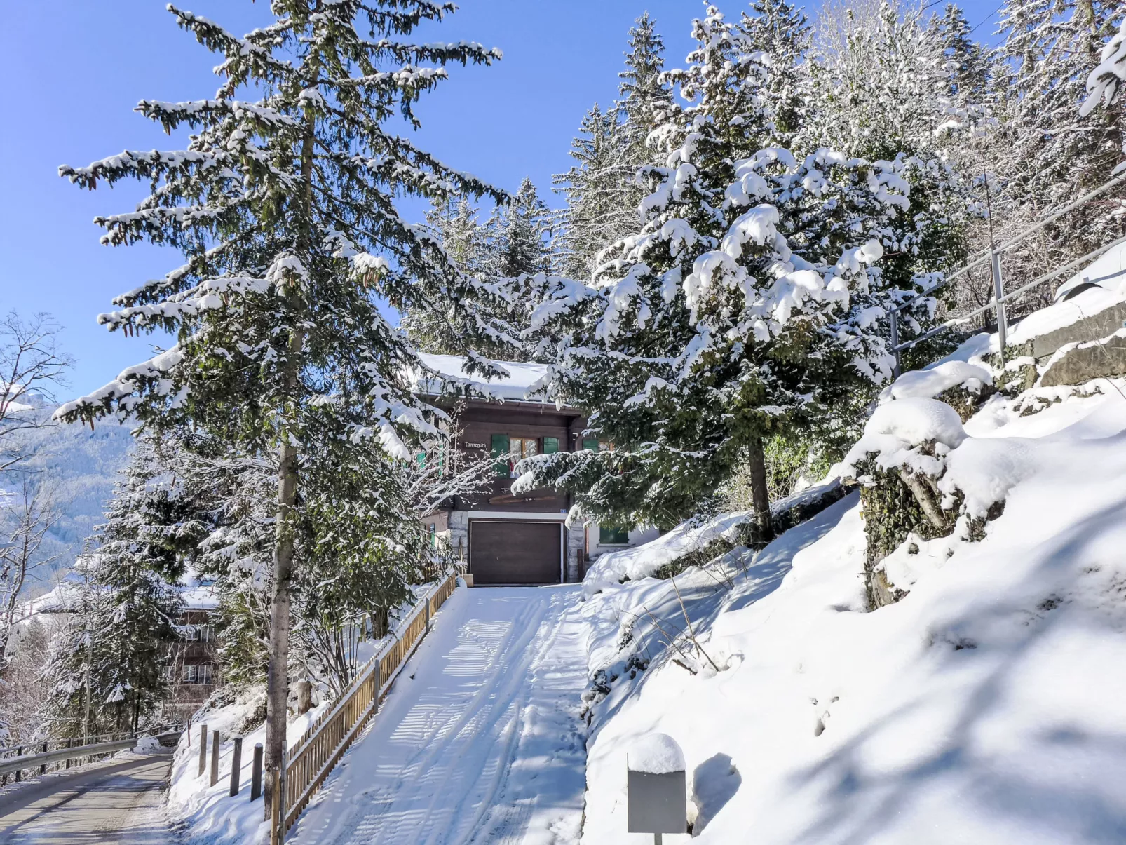 Chalet Tannengüetli-Outside