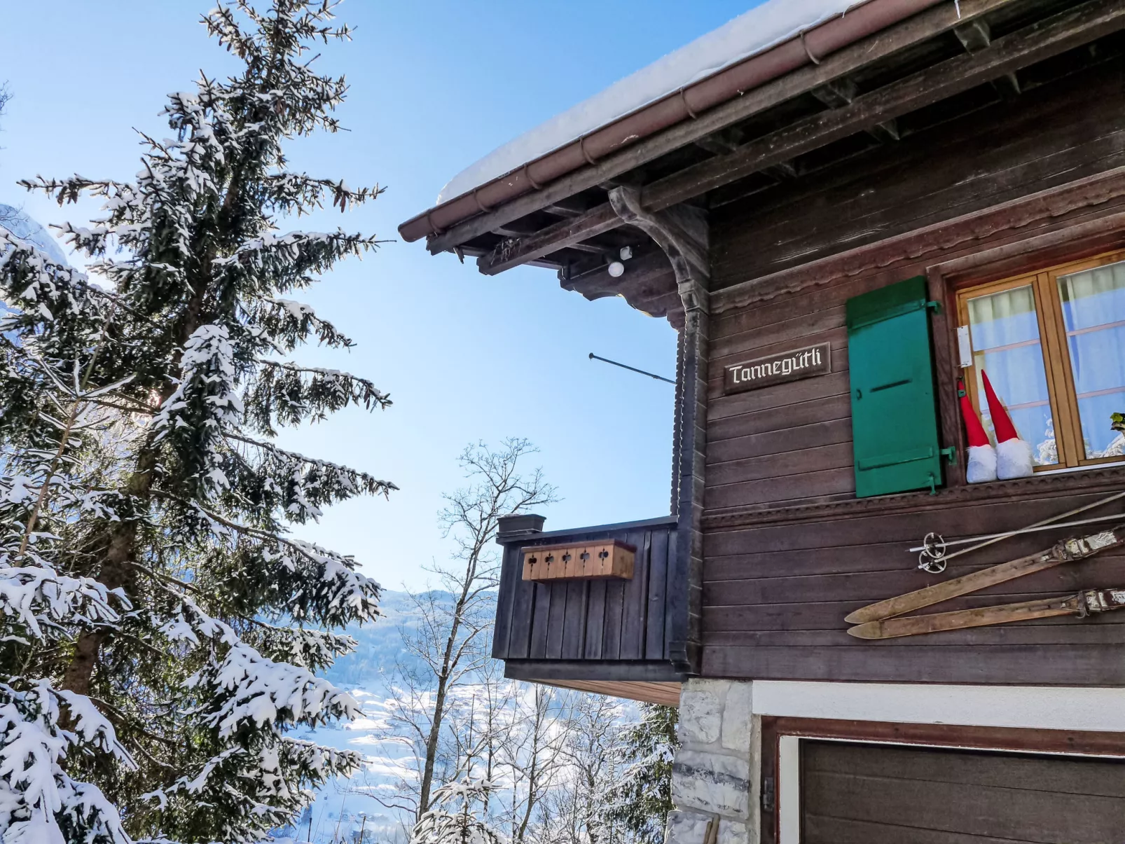 Chalet Tannengüetli-Outside