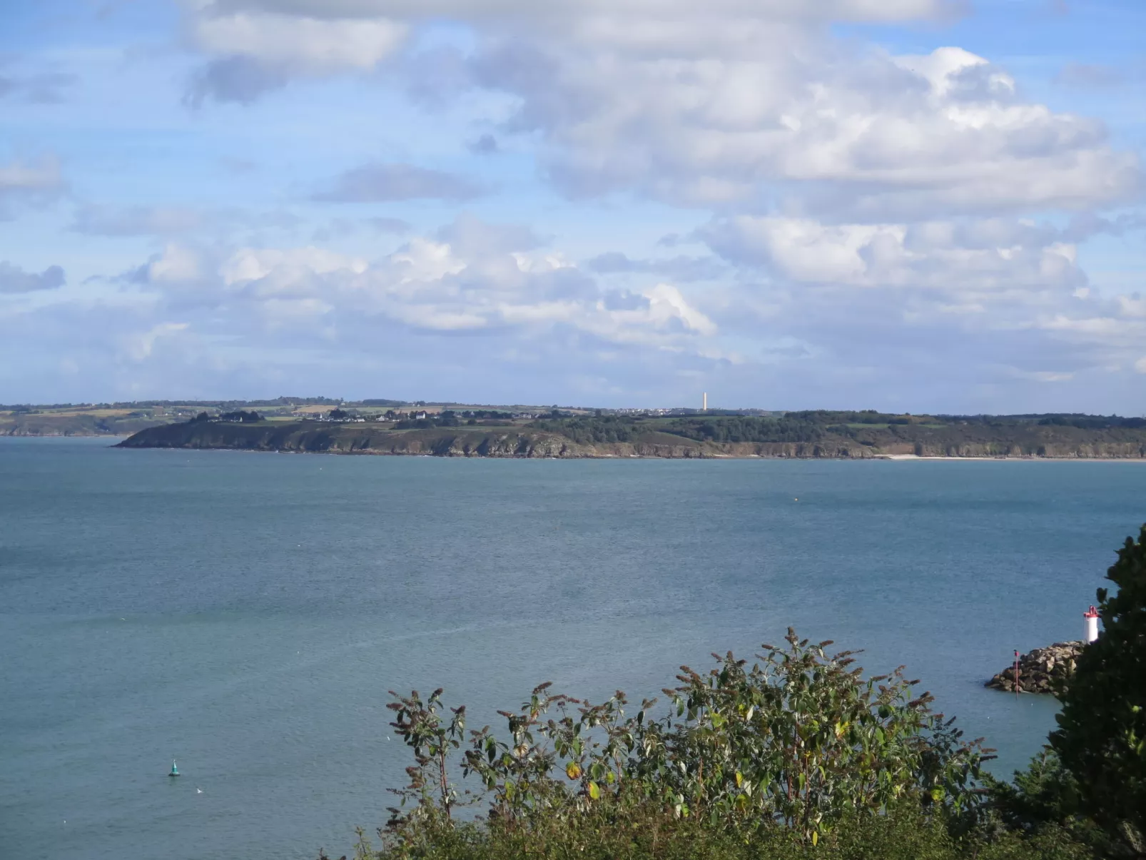 Le Cèdre Bleu-Area