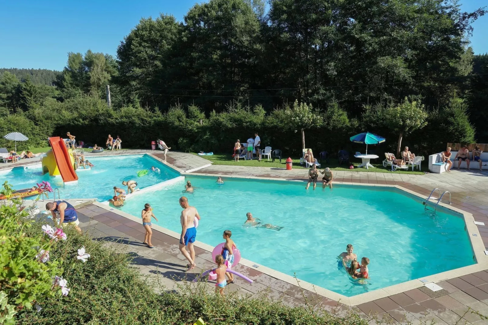 Lark-Pool