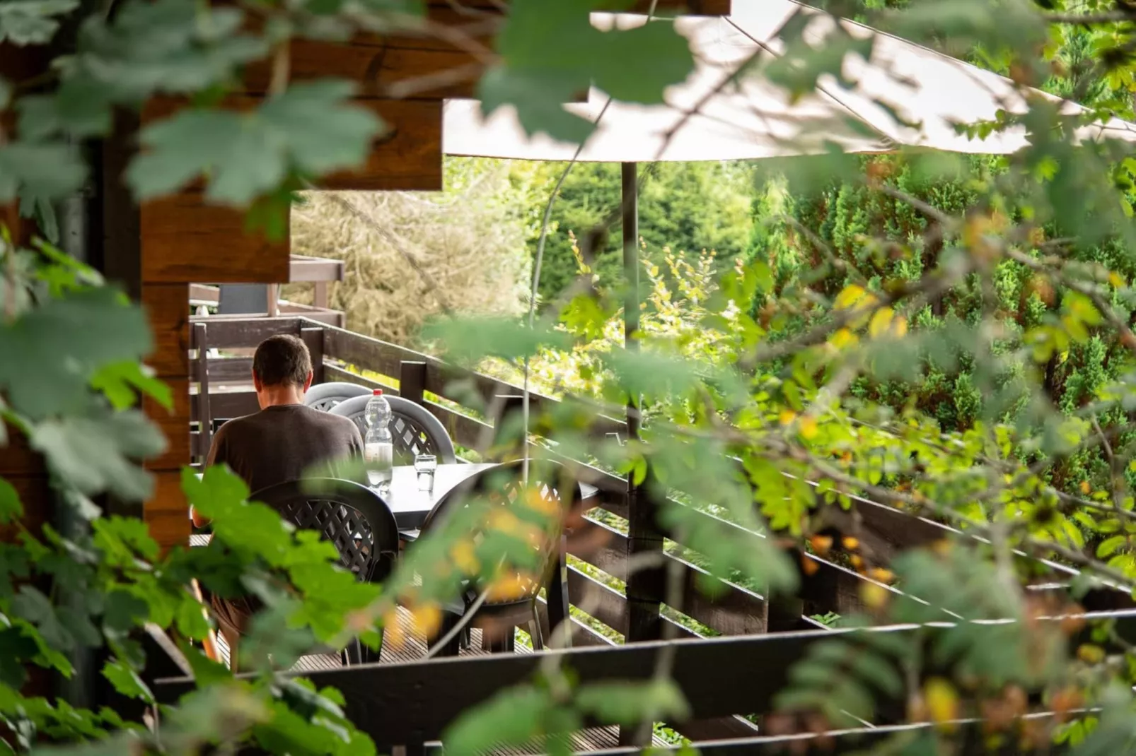 Chalet Renardeau-Terrace balcony