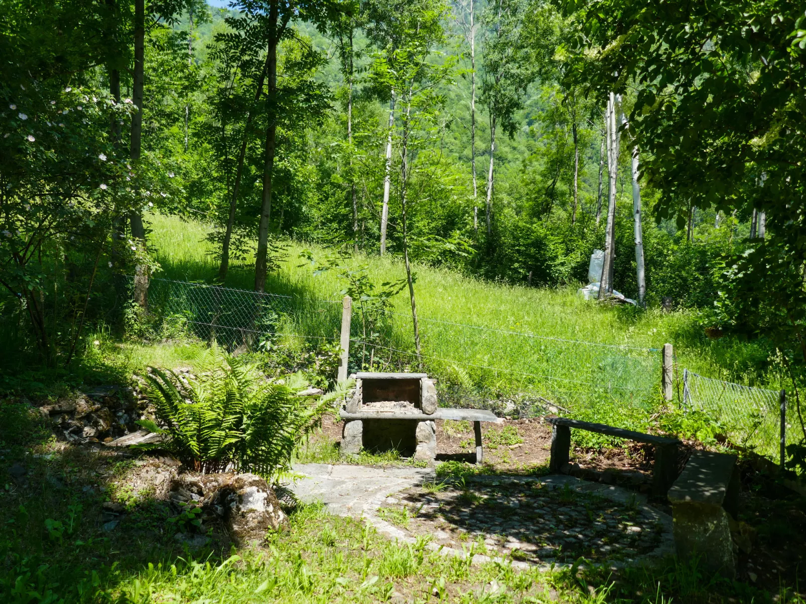 Chalet Al Portic-Outside