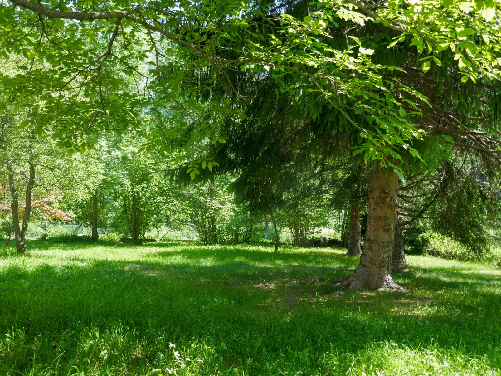 Chalet Al Portic-Outside