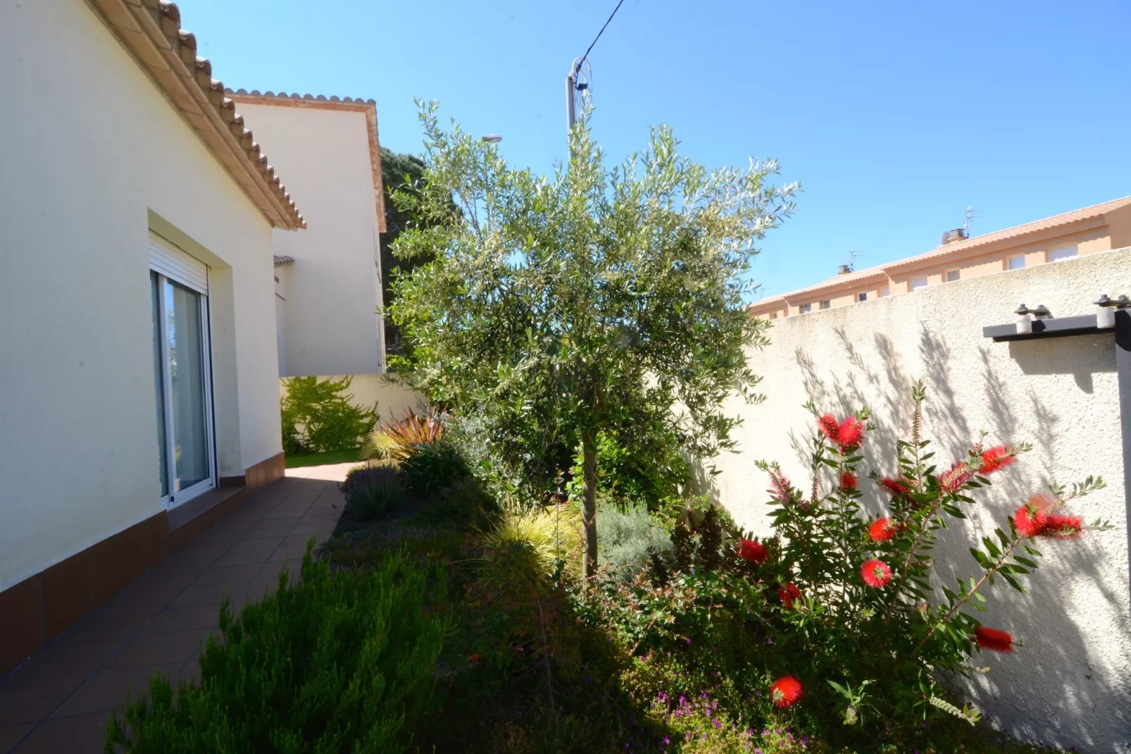 COSSIS 61B-Gardens summer