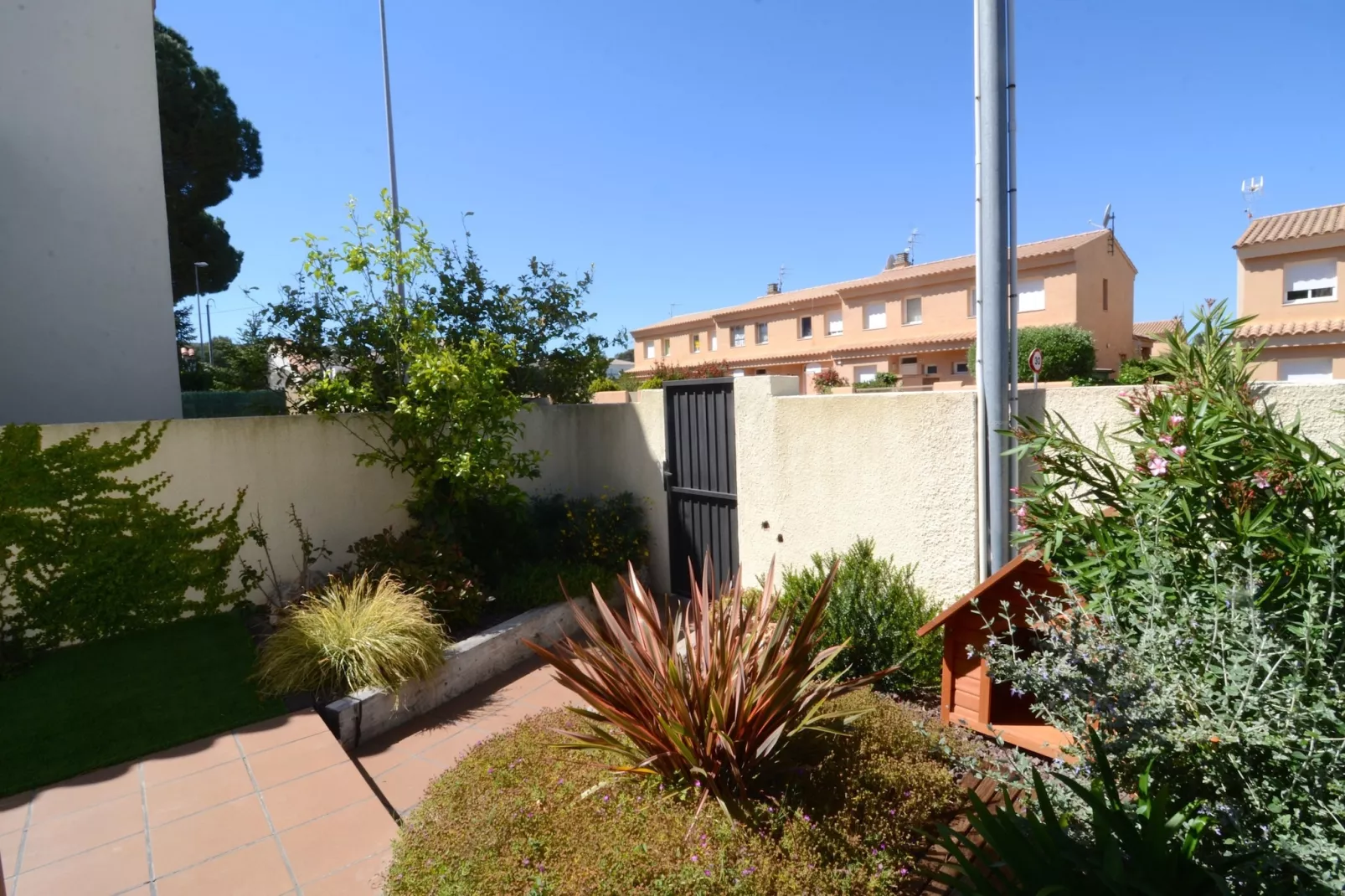 COSSIS 61B-View summer