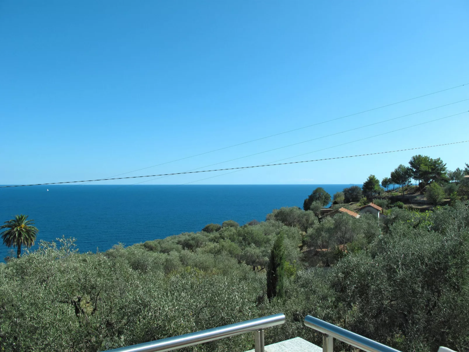 Ulivi sul Mare-Dehors